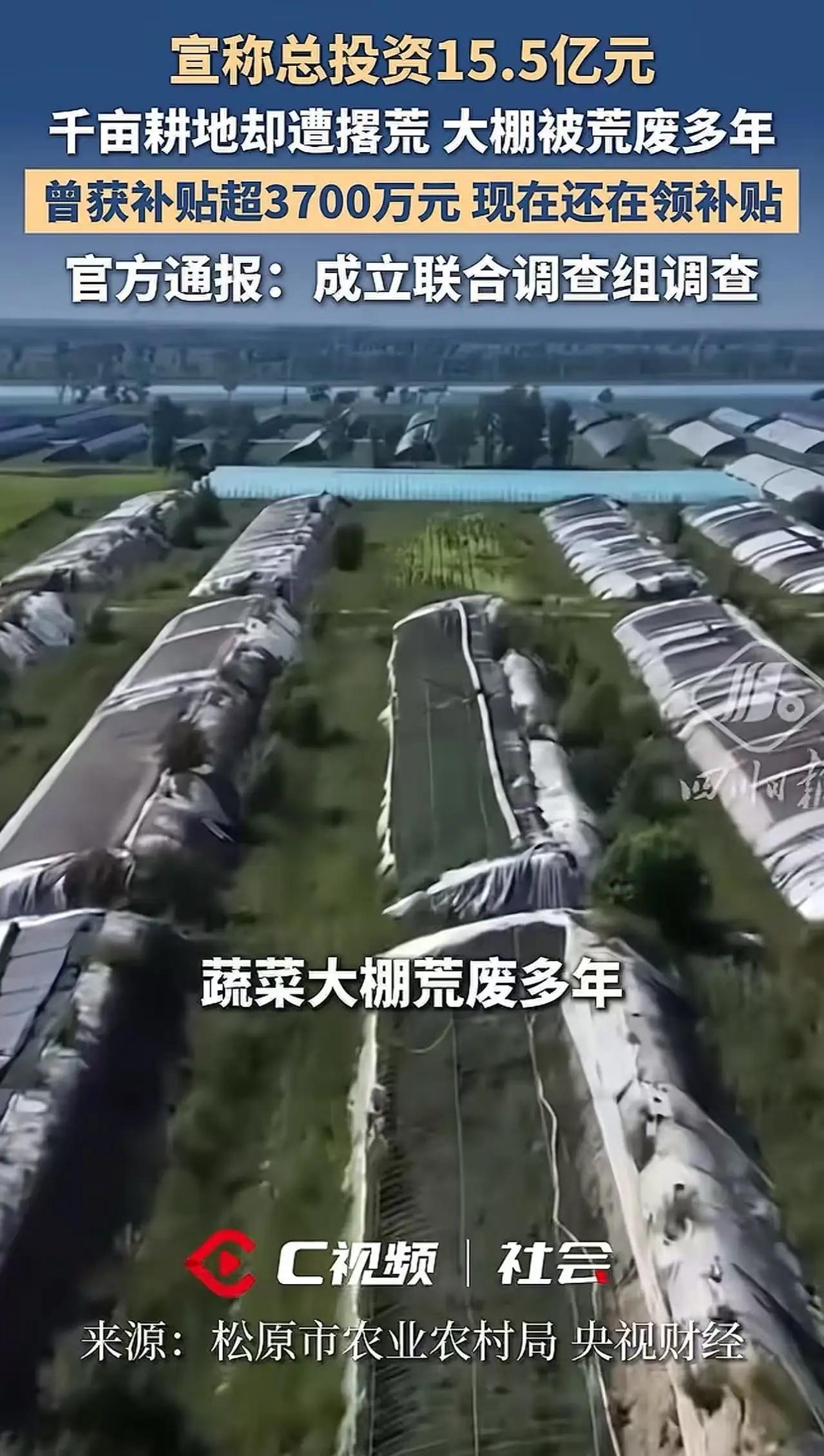 终于被央视盯上了！600公顷大棚长草，3700万补贴照拿，谁在把“菜篮子”变成“