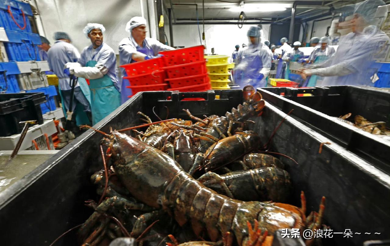 据大公文汇网:
美国政府监督机构“公开账目”发布的一项新分析发现，2025年9月