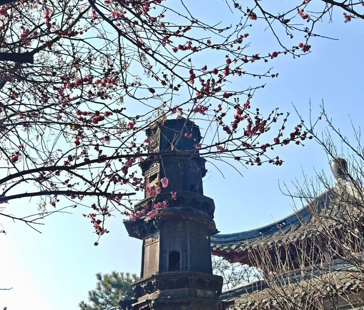 不想、不怕、不求，自在活一生
 
人这一辈子，想要活得舒坦、过得轻松，其实不用太