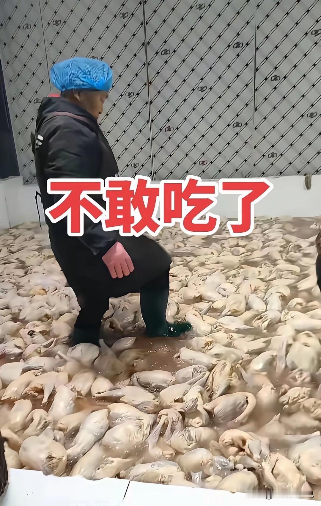 没想到我们吃的鸡肉是这样的，
以后还敢去吃吗？
这是泡的什么东西，
也太吓人了吧