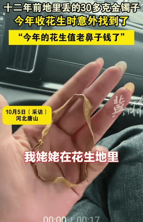 万万没想到！河北唐山，女子的姥姥12年前在花生地里丢30多克金镯子。今年收花生时
