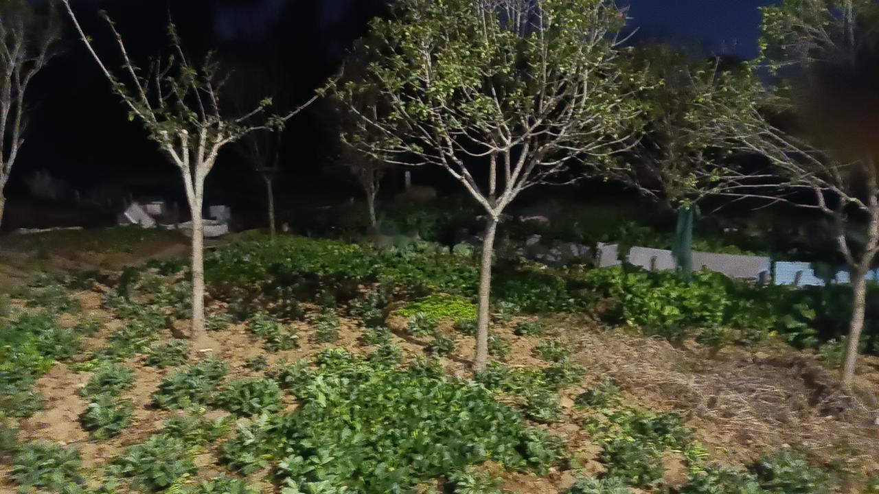 有人说，爱情没有底线，但真相并非如此。每个人心中都藏着一把尺子，那是我们对自己、