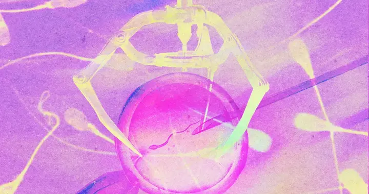 试管婴儿的未来：AI选胚胎、机器人做手术、基因编辑防疾病