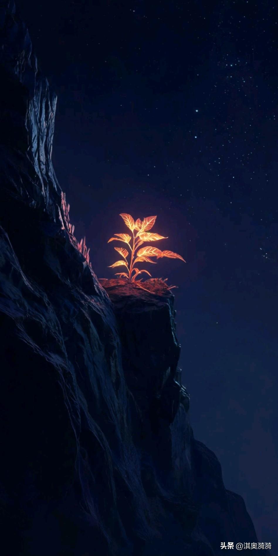 《守心：不逐外物，自有清香；观心：一念清净，万般安然；养心：心若淡雅，处处生香》