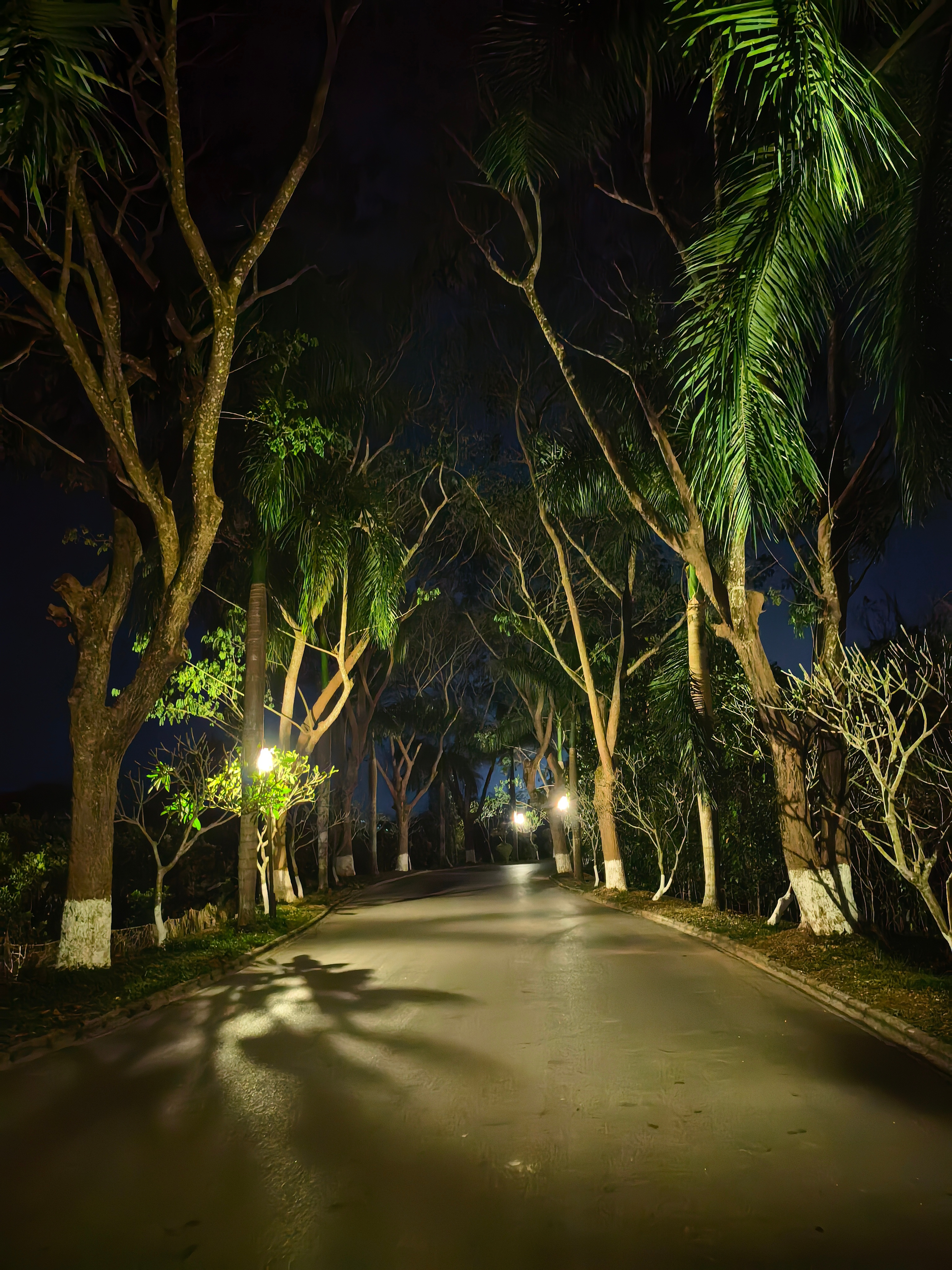 好久没走过这么黑的夜路，不会突然窜出来个人馋我身子吧[酸] 