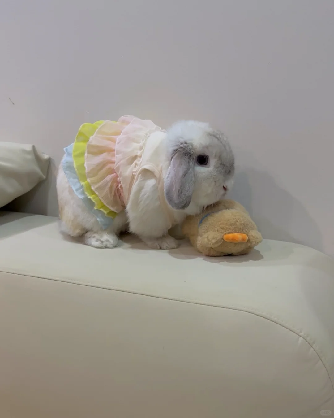 麻 裙子好紧