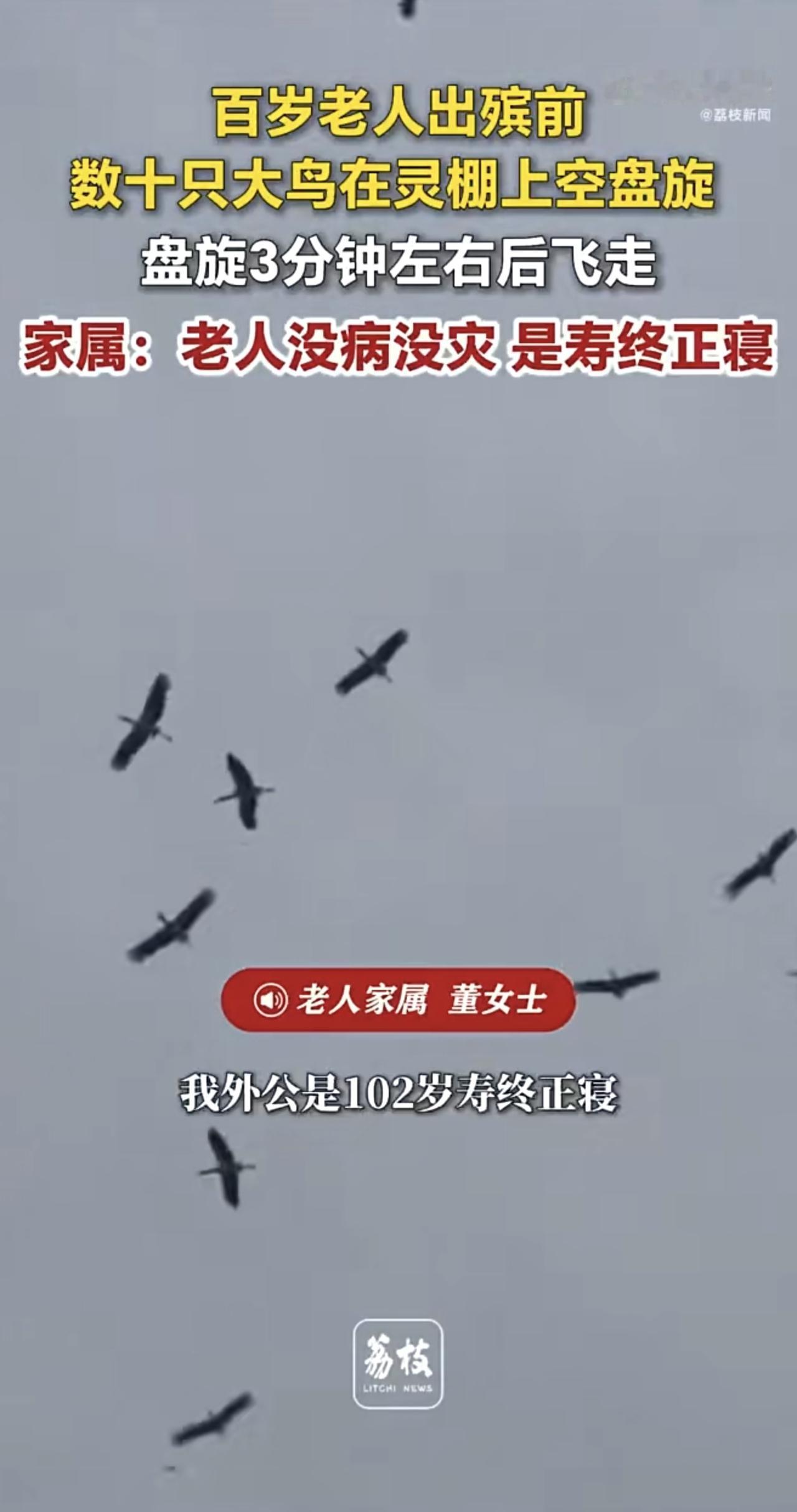 102岁老人出殡前，数十只大鸟在灵柩上盘旋3分钟，家属：老人没病没灾 是寿终正寝