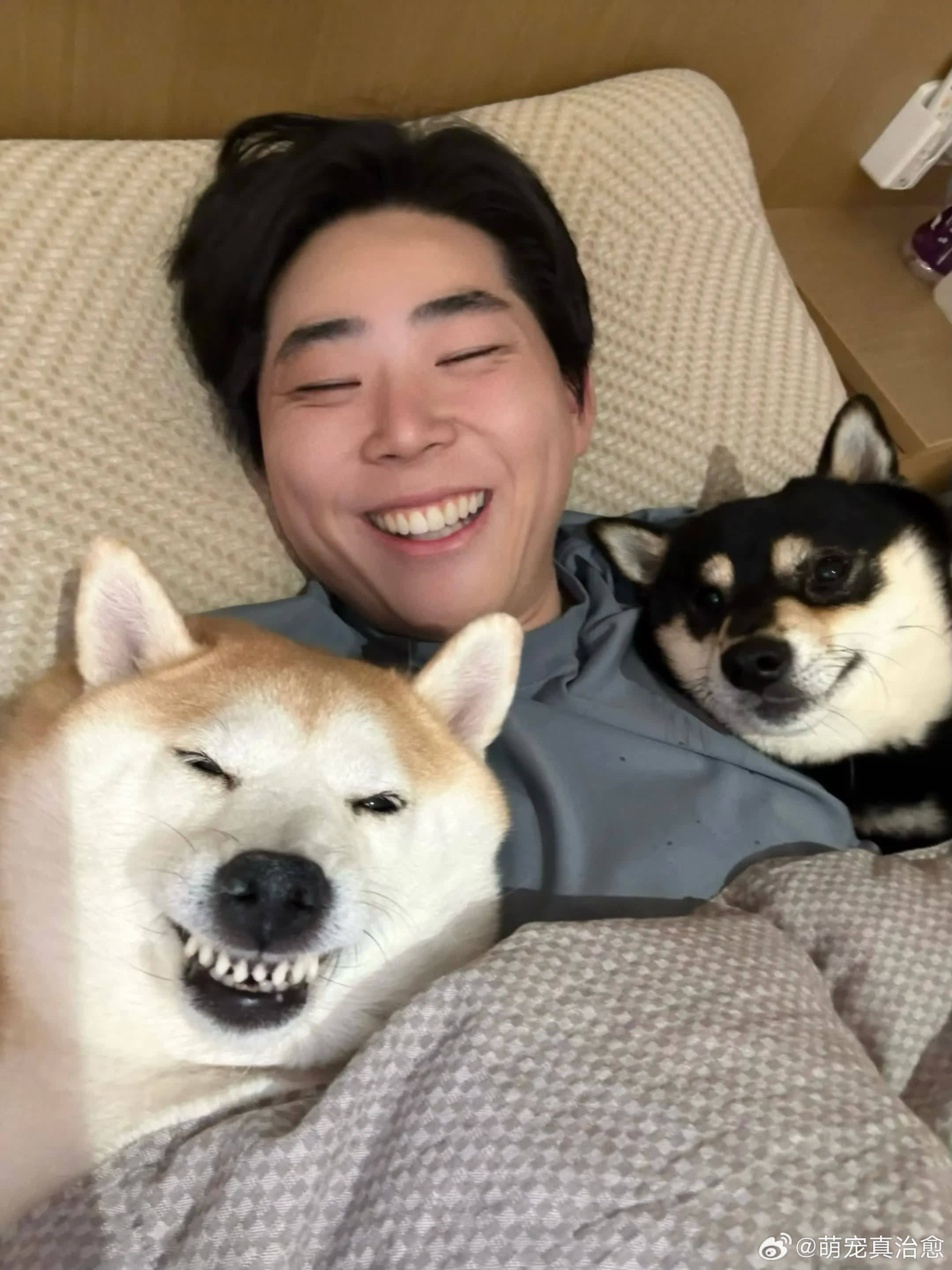 我们仨天下第一好。萌宠宠物