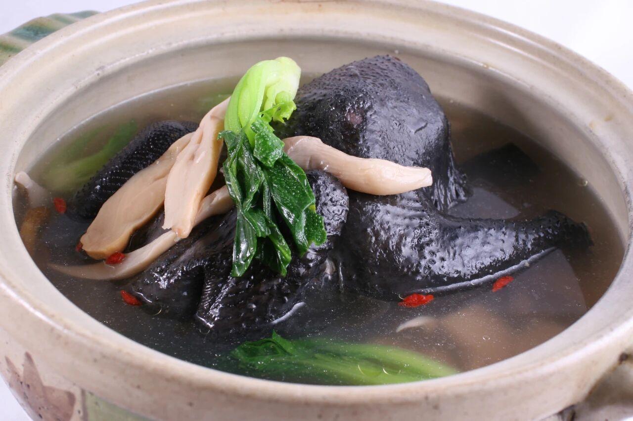 选乌鸡还是普通鸡？

其实乌鸡肉和普通鸡肉差别挺明显的，先说说外观和口感，乌鸡从