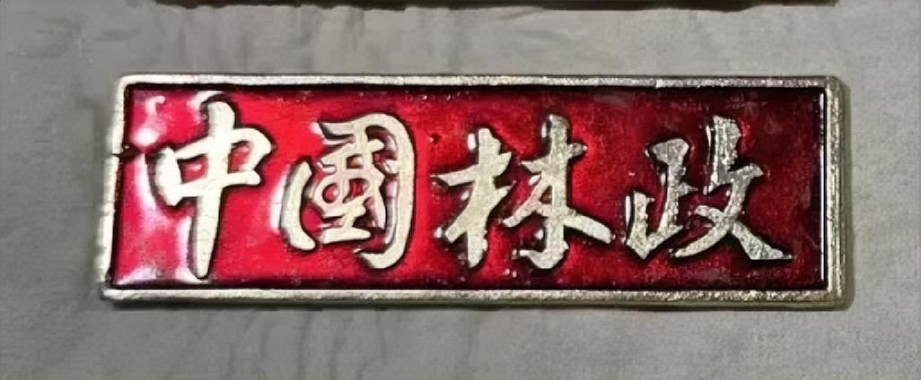 中国林政