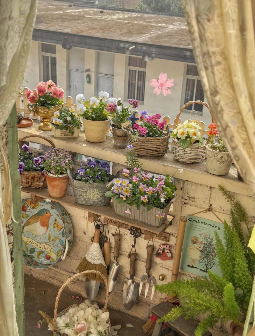 晴天☀️vs ☁️阴天