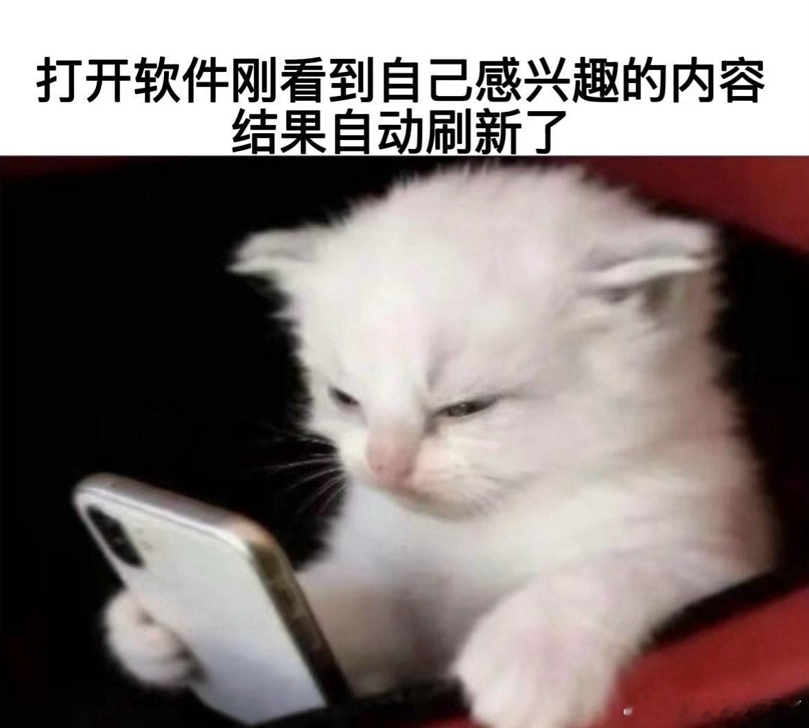 我的小众怒点 ​​​
