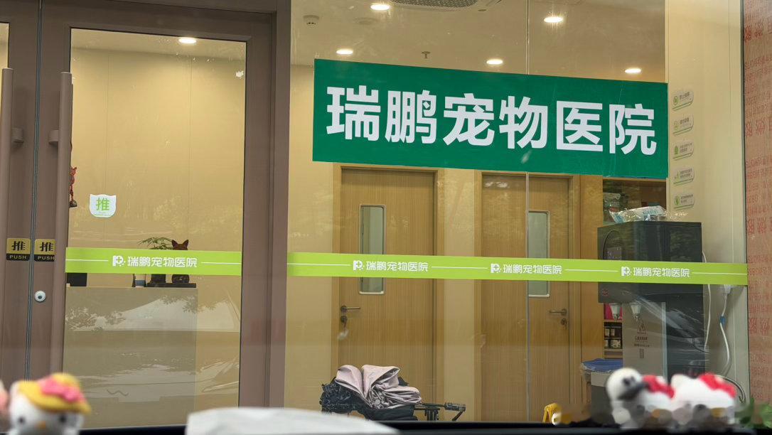 来给左左做个绝育，等了几个小时了现在宠物医院，感觉仅次于人类医院要是当时做兽医的