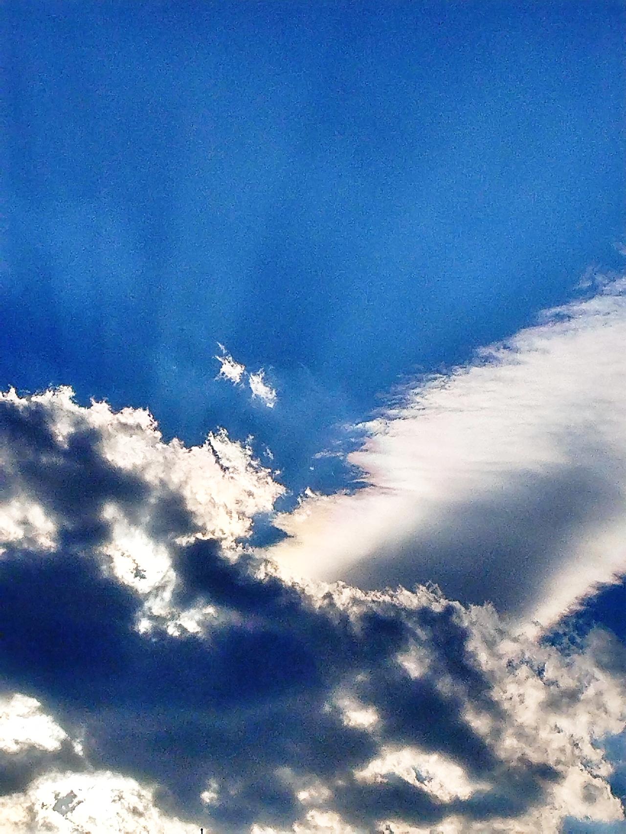 云卷云舒，天高任鸟飞。在这看似平淡却又充满诗意的天空下，每一朵云都是大自然的杰作