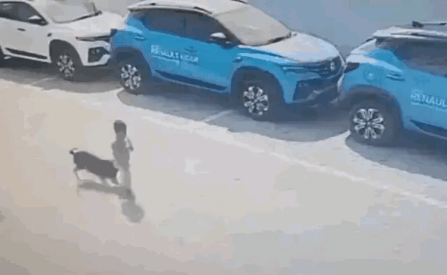 北青网变成北狗网了，天天围着狗转。狗咬人，谁来为被狗咬伤，咬死，染上狂犬病的人负