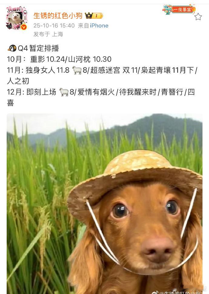 《青簪行》12月排播 ​​​