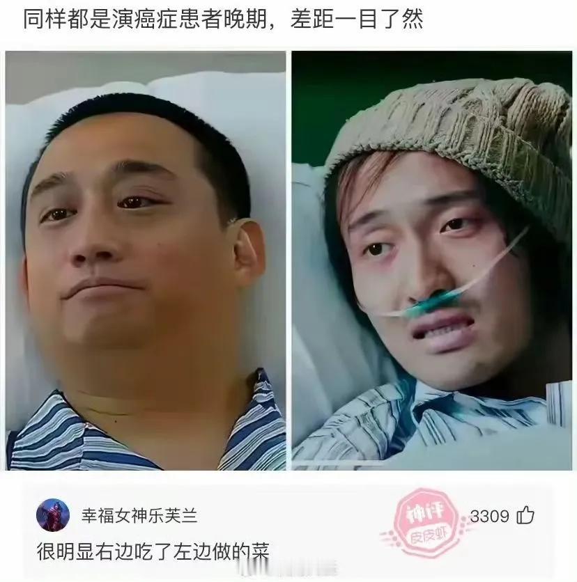 哈哈哈，这届网友太损了