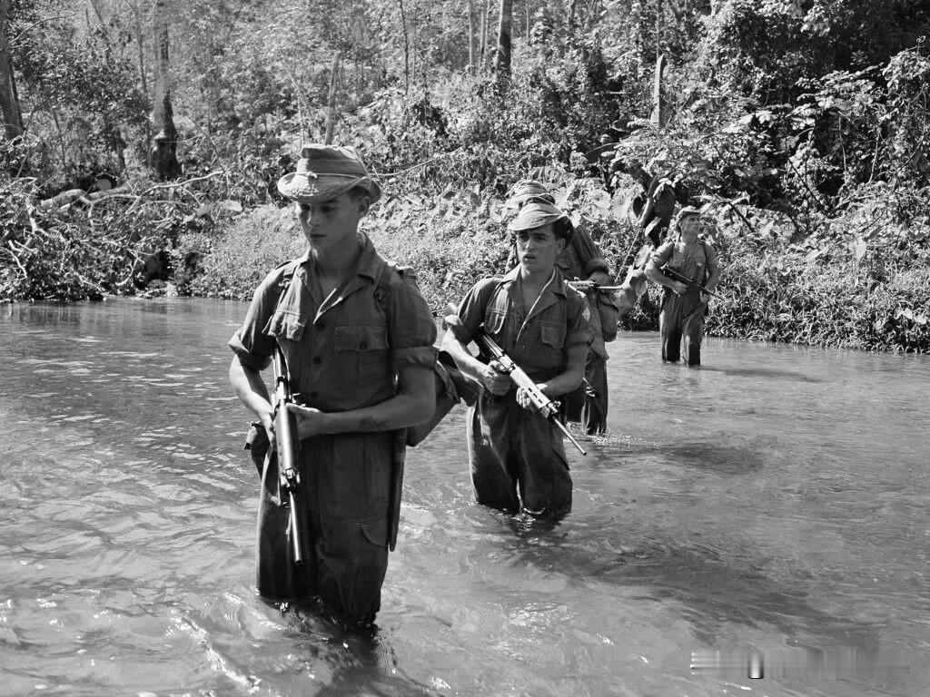 1956 年“马来亚紧急状态”期间，英国士兵在丛林巡逻中穿过一条小溪