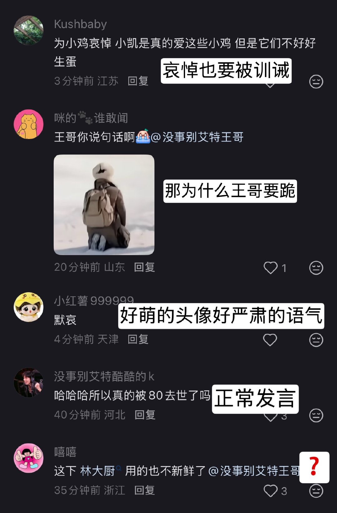 王俊凯的小鸡被霸凌去世了 这件事联合国怎么看王俊凯中餐厅10
