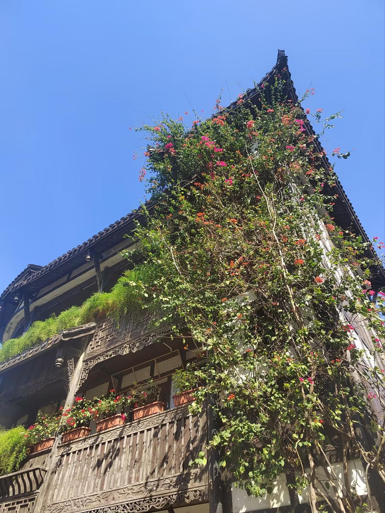 冬日生活打卡季深圳一些古镇挂了好多个了，有点大同小异的感觉。相对来说南头古镇会比