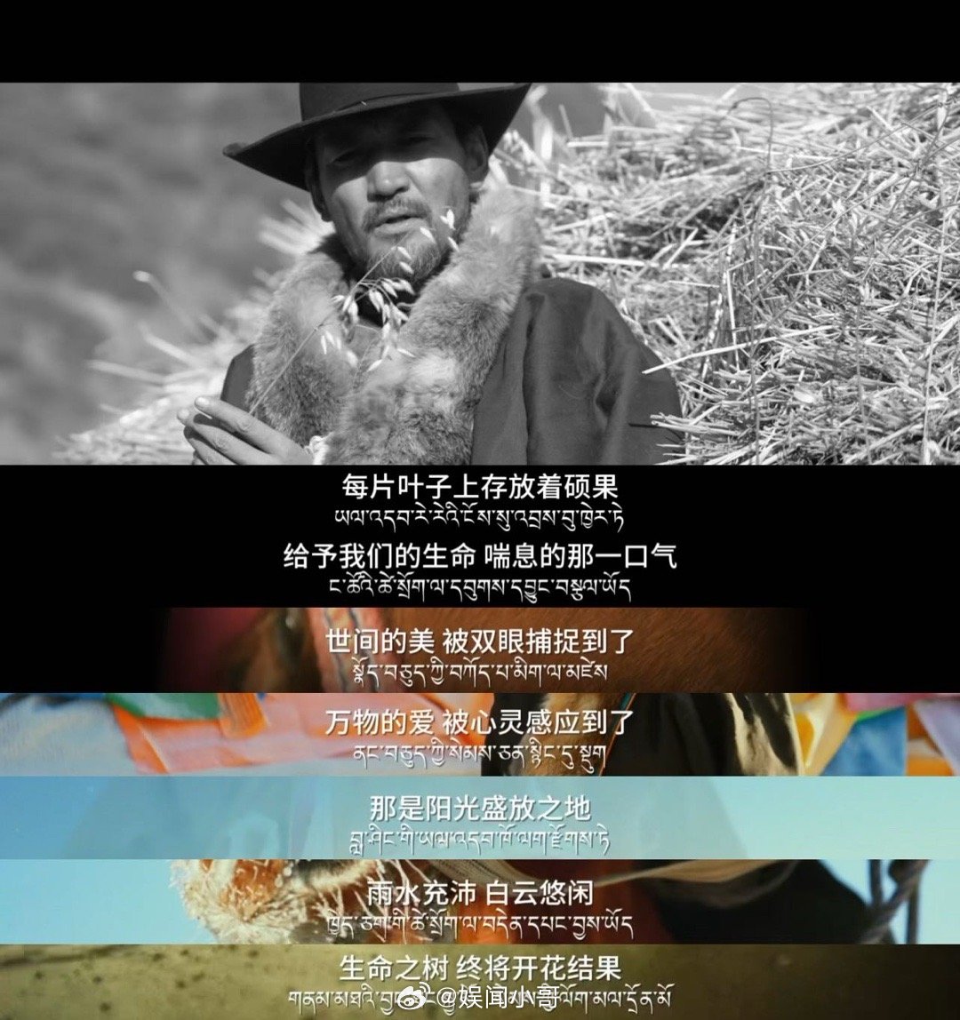 金巴为生命树写90秒影像诗 《生命树》这售后可太到位，金巴写的90秒影像诗，文字