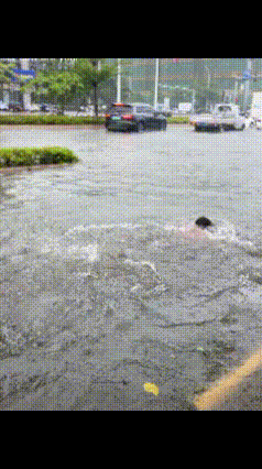 汕头市平静的澄海，培养不出优秀的水手，只有在雨污中畅游的，才是真正的柴浪。潮汕有
