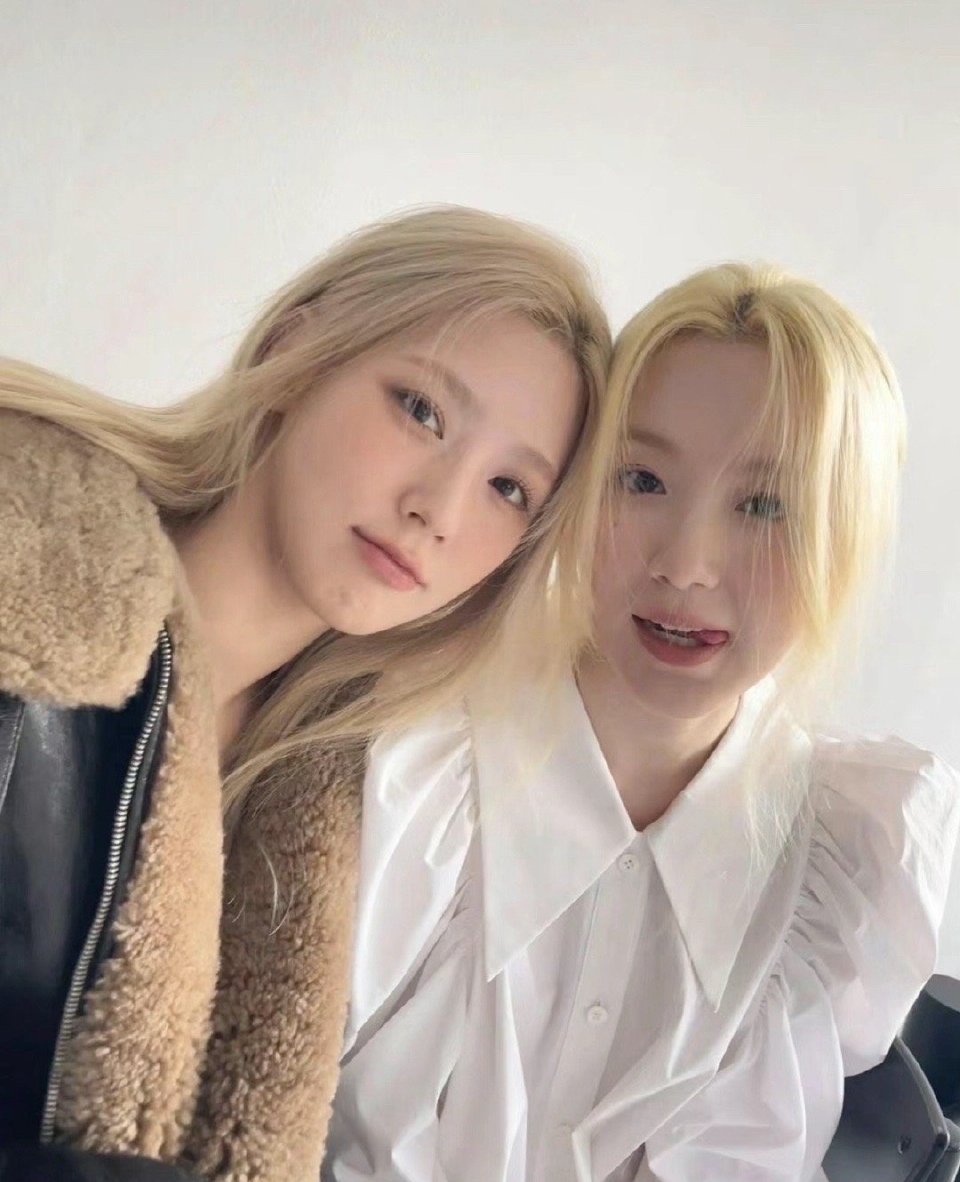 真门面赵美延求放过  旁边是什么物种 ​​​