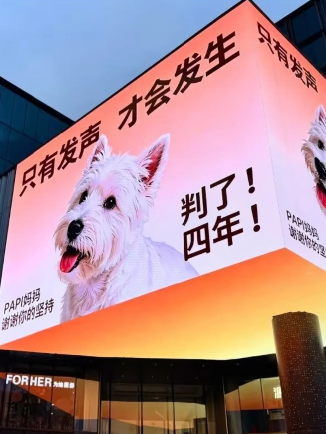 判了！已收监！papi妈妈的坚持有回报