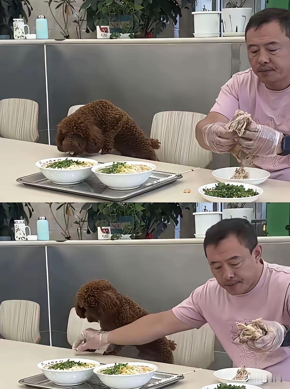 一条狗毁掉一家二十年老字号老店。
 
在沈阳人的美食记忆里，老四季早已不是简单的