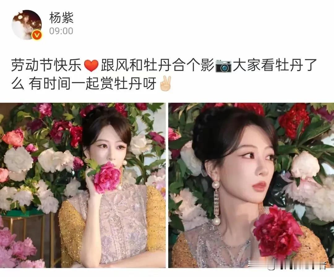 杨紫果然是那朵可爱的牡丹花，杨紫五一劳动节真是给大家福利，美美的照片，真是养眼。