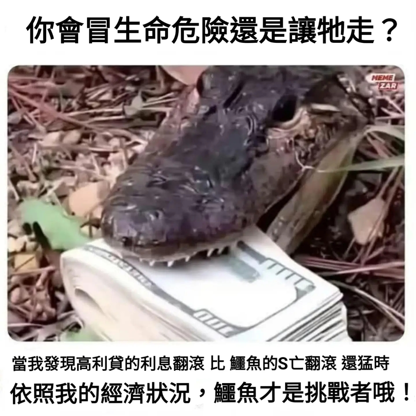 还有鳄鱼皮鞋memes ​​​