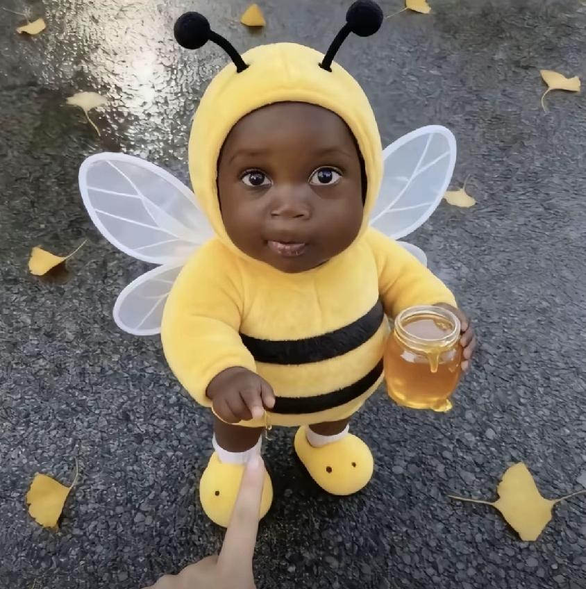 记录我的2026小蜜蜂来采蜜了