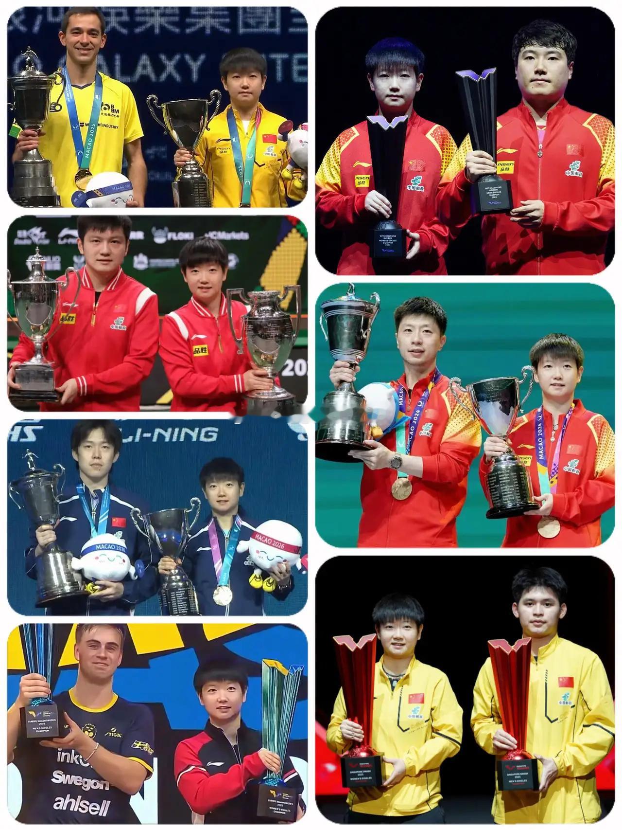 看到这个莎莎，真的被震撼了，流水的男单，铁打的女单，莎莎真的太稳定了。难怪内外都