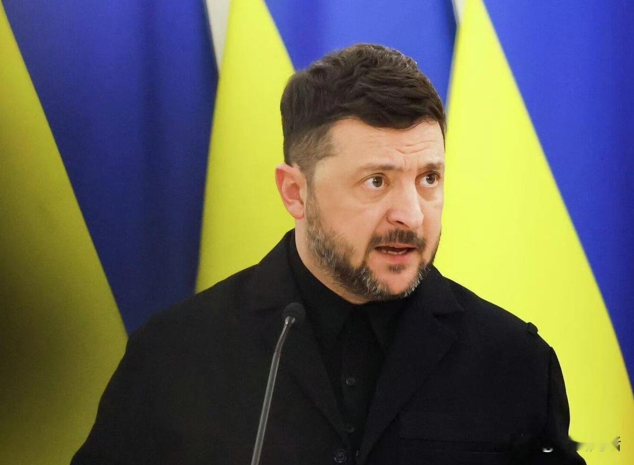 支楞起来了！
据说泽连斯基最近表现的比较强硬！声称，我们绝不会投降，将顿巴斯和扎