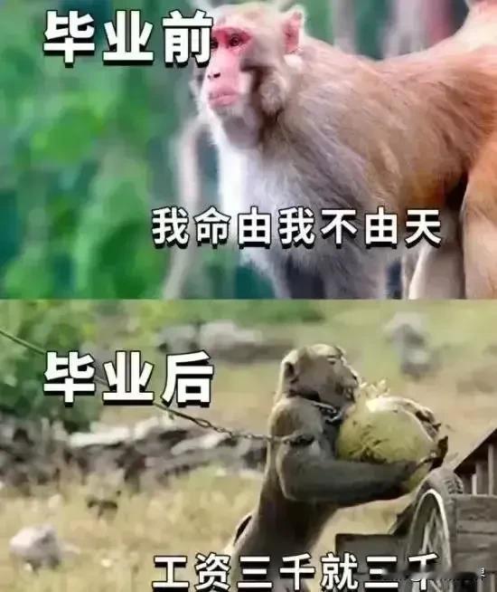 生活中我们都不是好演员，
对喜欢的东西藏不住热情，
对深恶痛绝的东西演不出喜欢。
