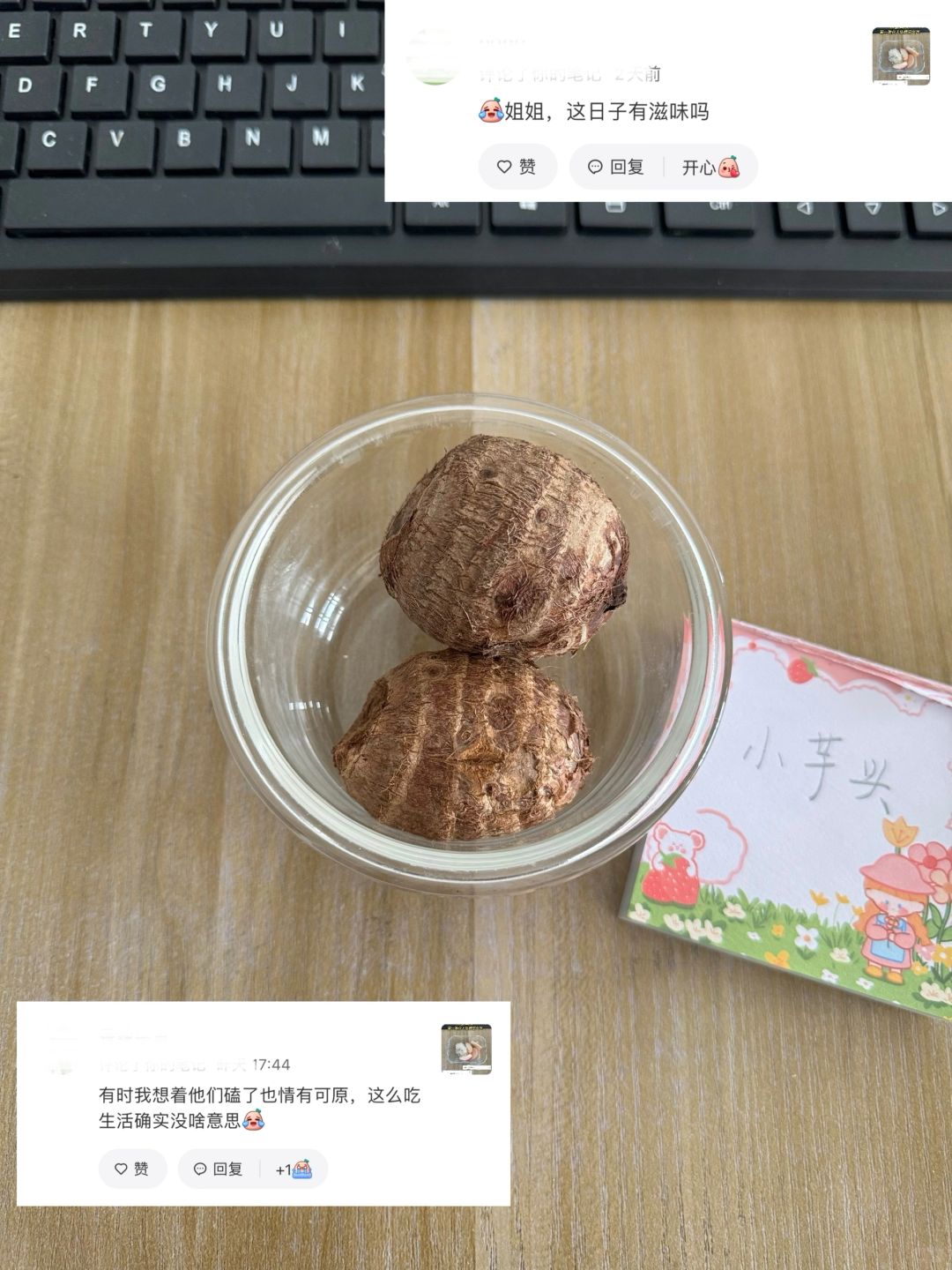 带饭439天，网友问我这日子过得还有滋味吗？