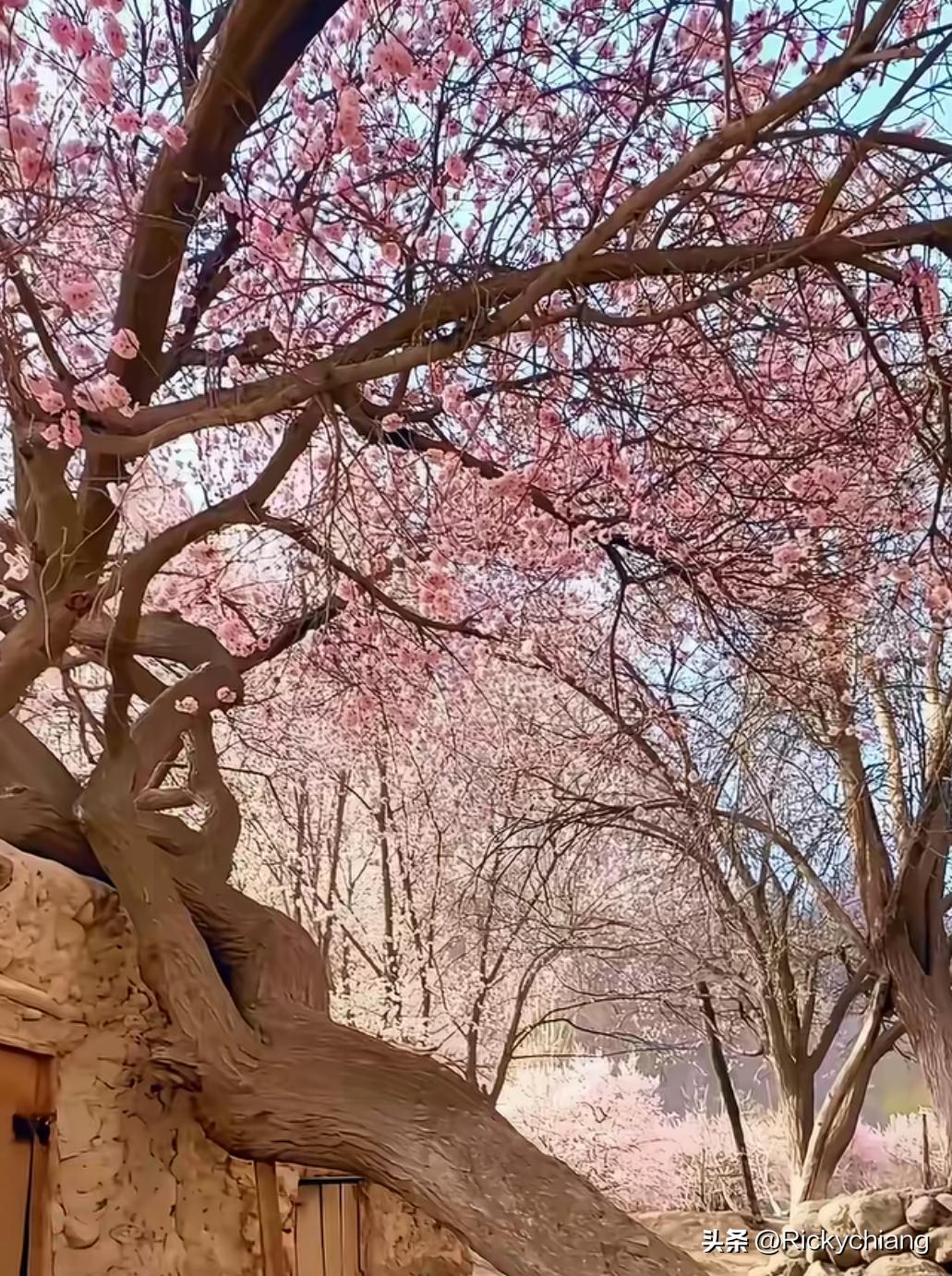 何为好运：

在事业顺风顺水的时候，上天给你安排一次财产的损失，是为了提醒你不要