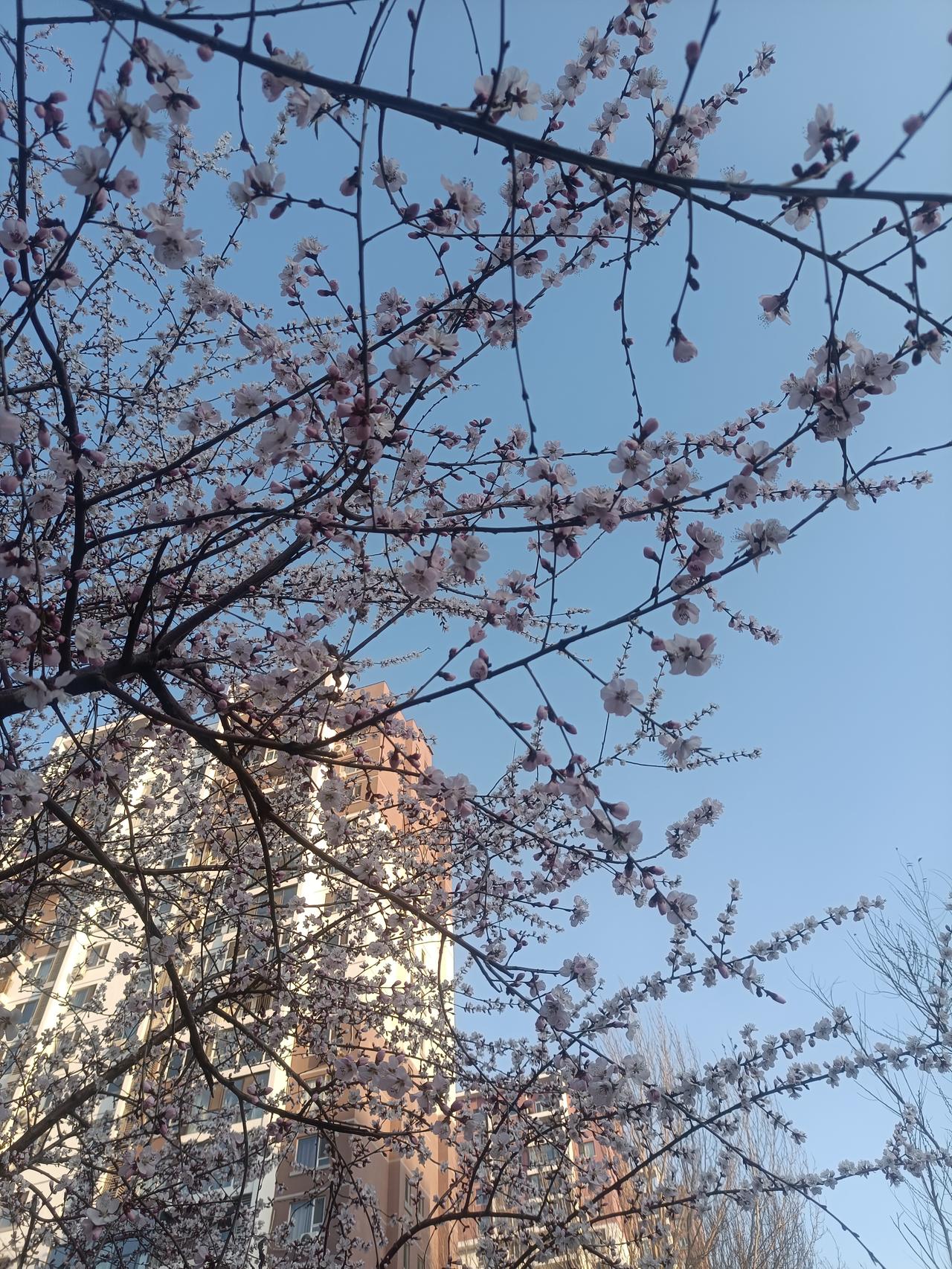 人生如茶，
只会苦一阵子；
若能苦中求静，
便是回甘的时刻。
学会钝感力，
大事