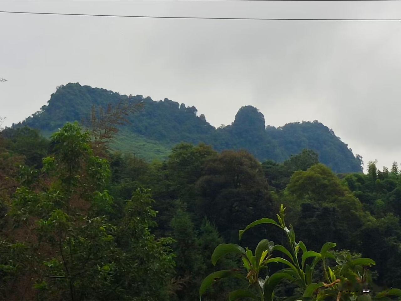 醉思仙.游山恋

墨琴

远峰悬。正空山向晚，细雨缠绵。
望烟浮翠岫，世虑全删。