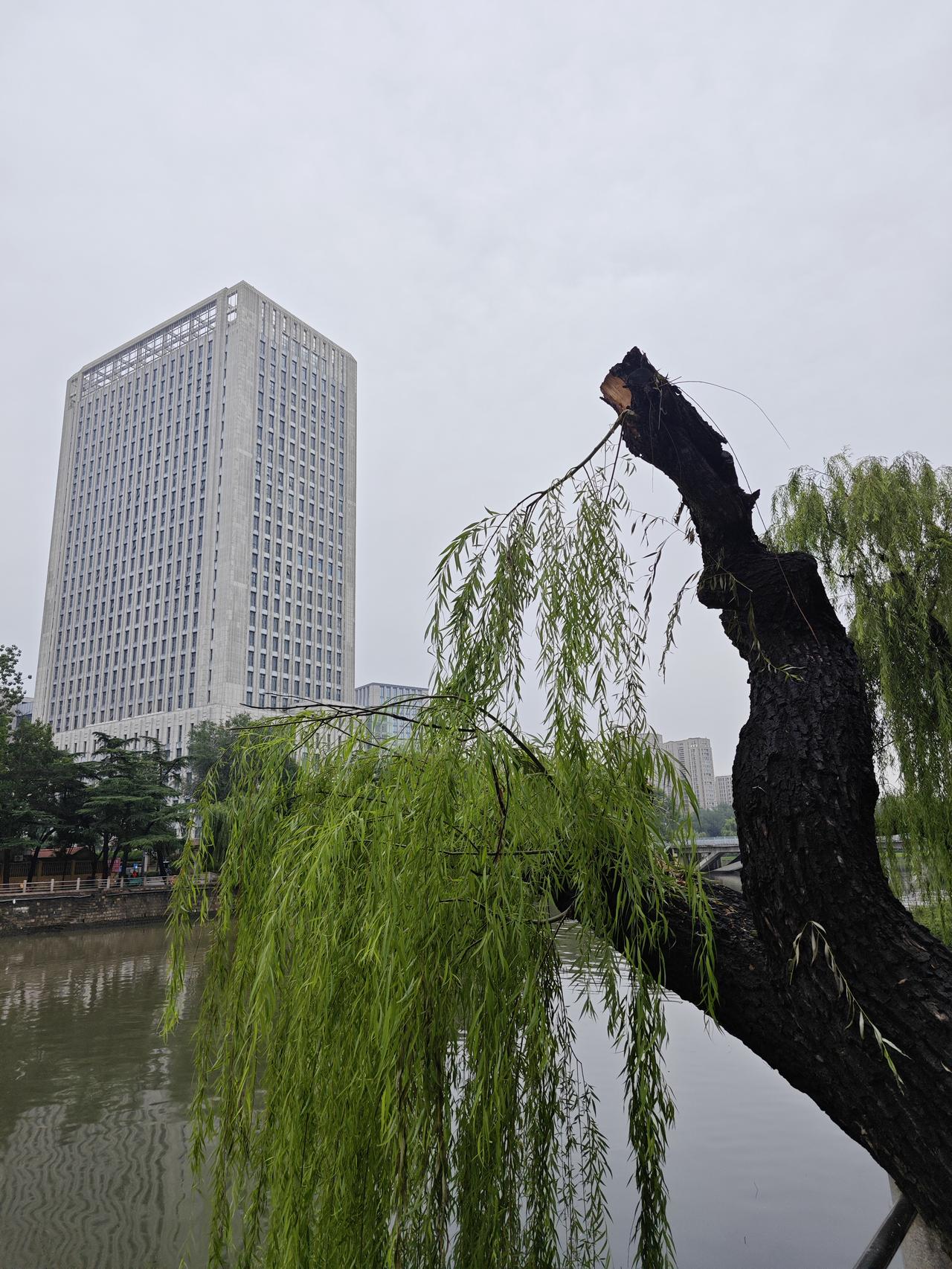 其它方面咱了解不深，只是从他的打扮上来看，都80多岁了，无论何时出镜，都是著着长