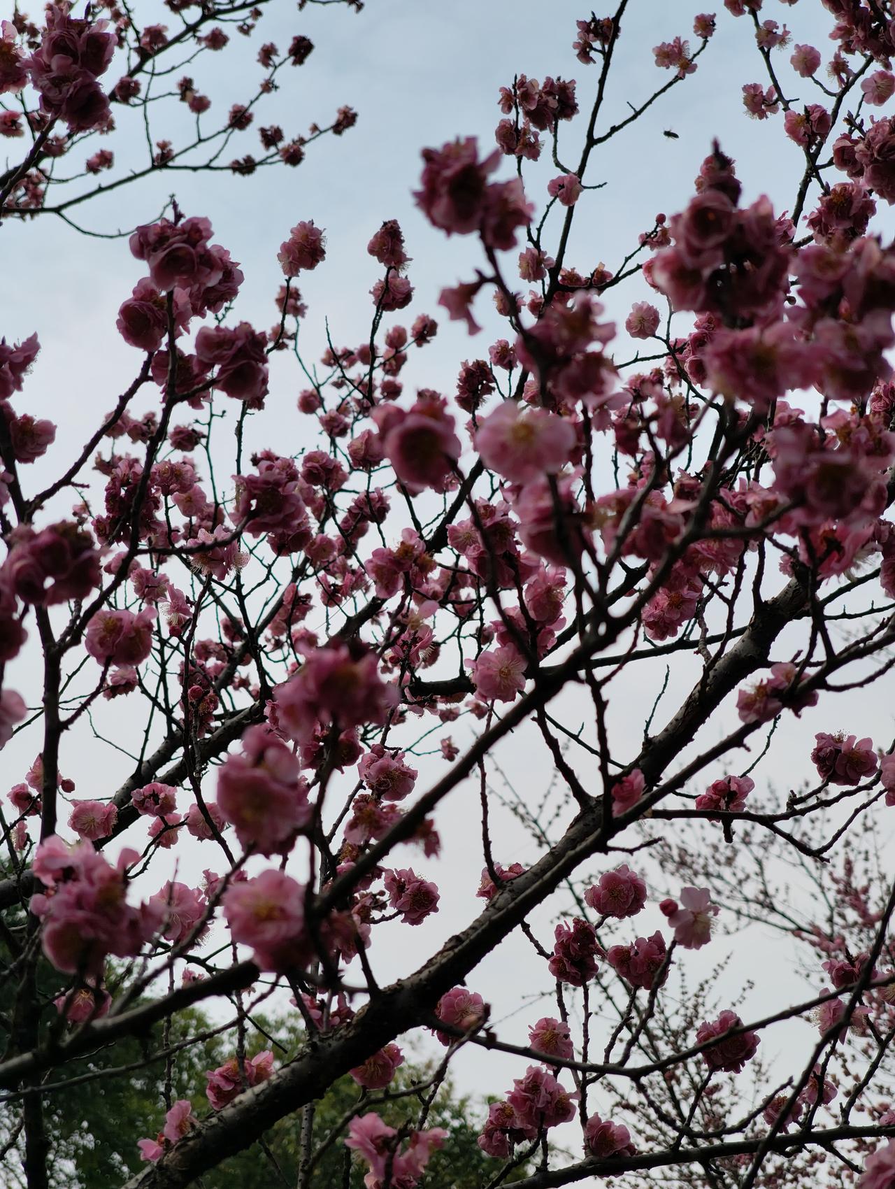 幸福到底是什么呢？有人觉得是能买得起大房子，有人觉得是身边有爱人陪着。但其实真正