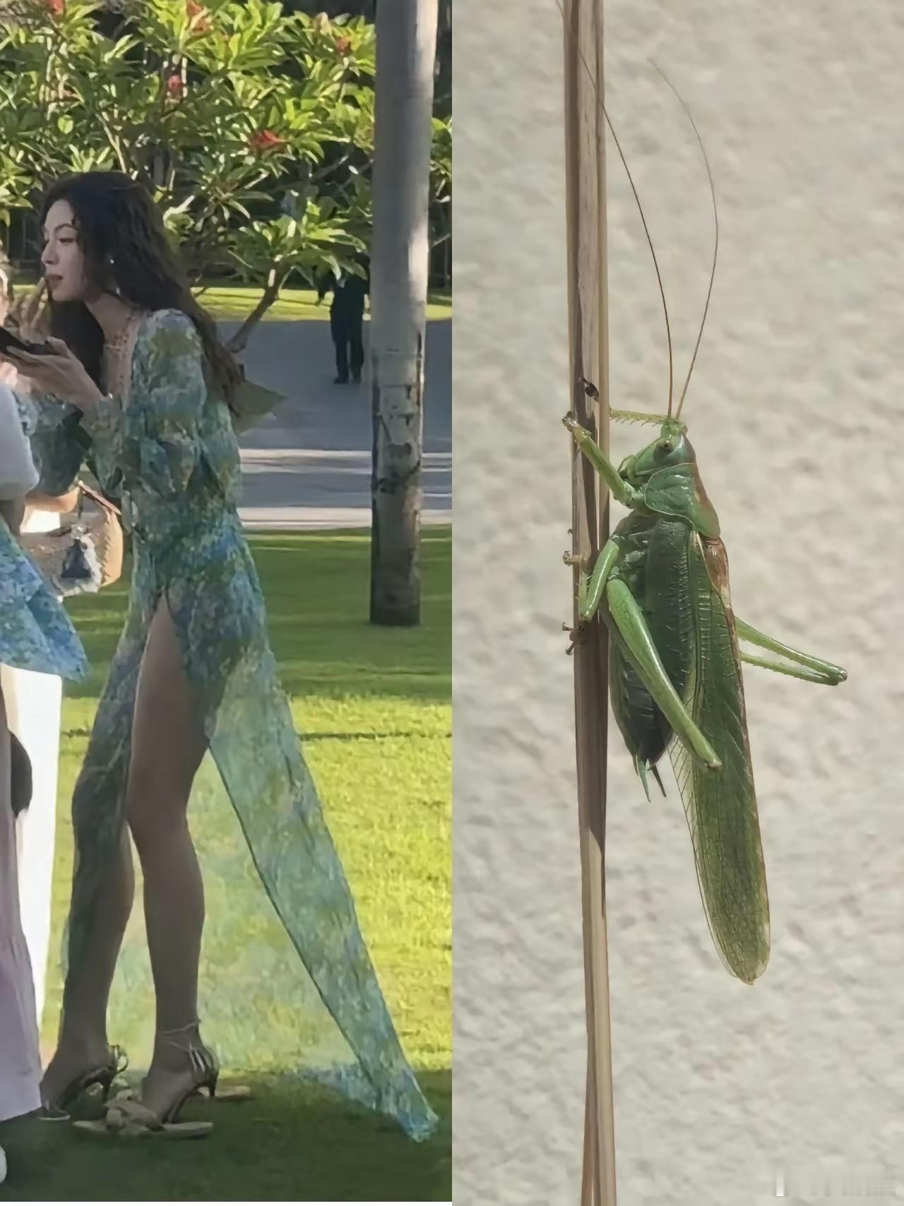 设计师的灵感，这是抄袭还是模仿？ ​​​