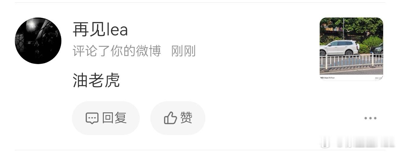 闹麻了，500Z居然都有人说是油老虎。高度1米9、三吨重的越野车。市区7个油，高