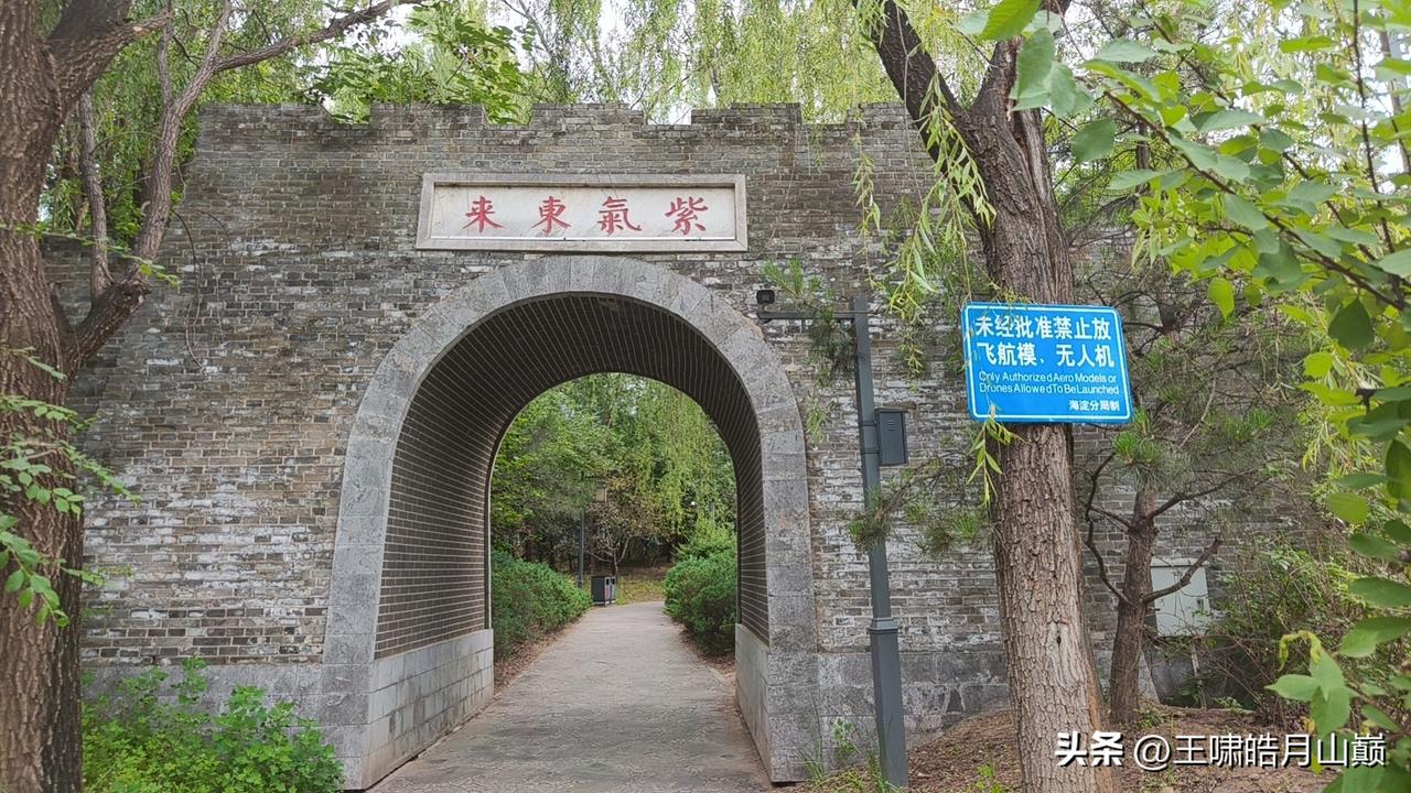 雷击石出现了
  北京到了雨季了，昨天下雨挺大，今天下的雨更大。电闪雷鸣的，下的
