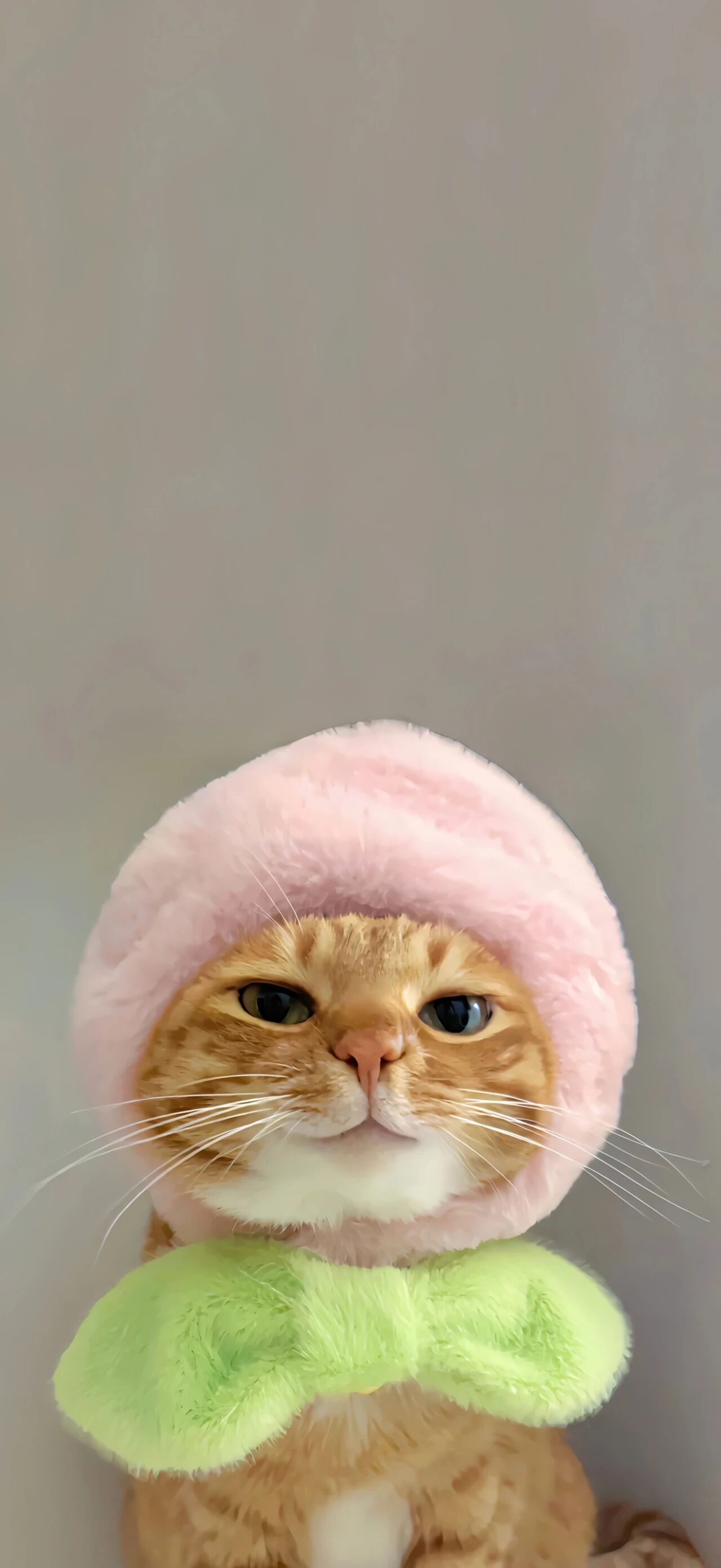 𝙒𝙚𝘾𝙝𝙖𝙩｜𝘀𝗵𝗮𝗿𝗲｜wallpaper｜壁纸分享｜全