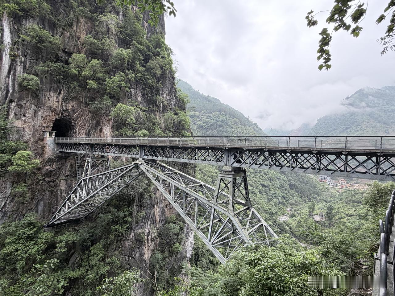 今天在山里，信号弱。发几张图吧。
图  早随拍