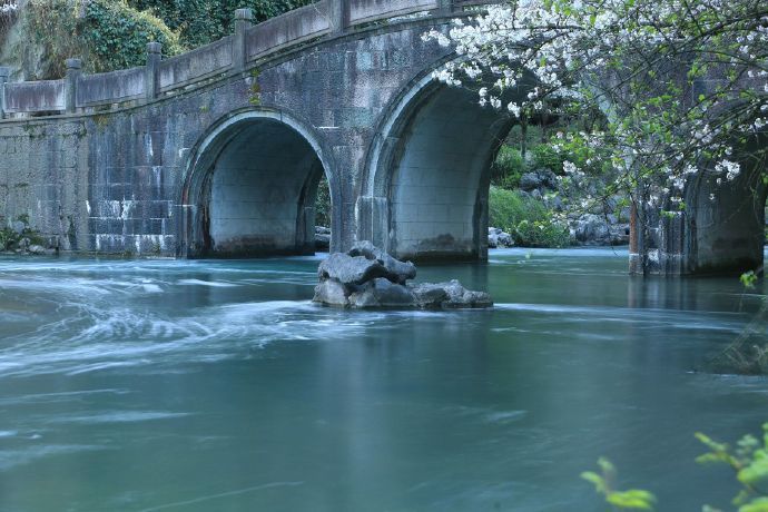 浙江杭州太子湾 | 春色俏丽，郁金香盛开，赶快去瞧瞧吧！ 
