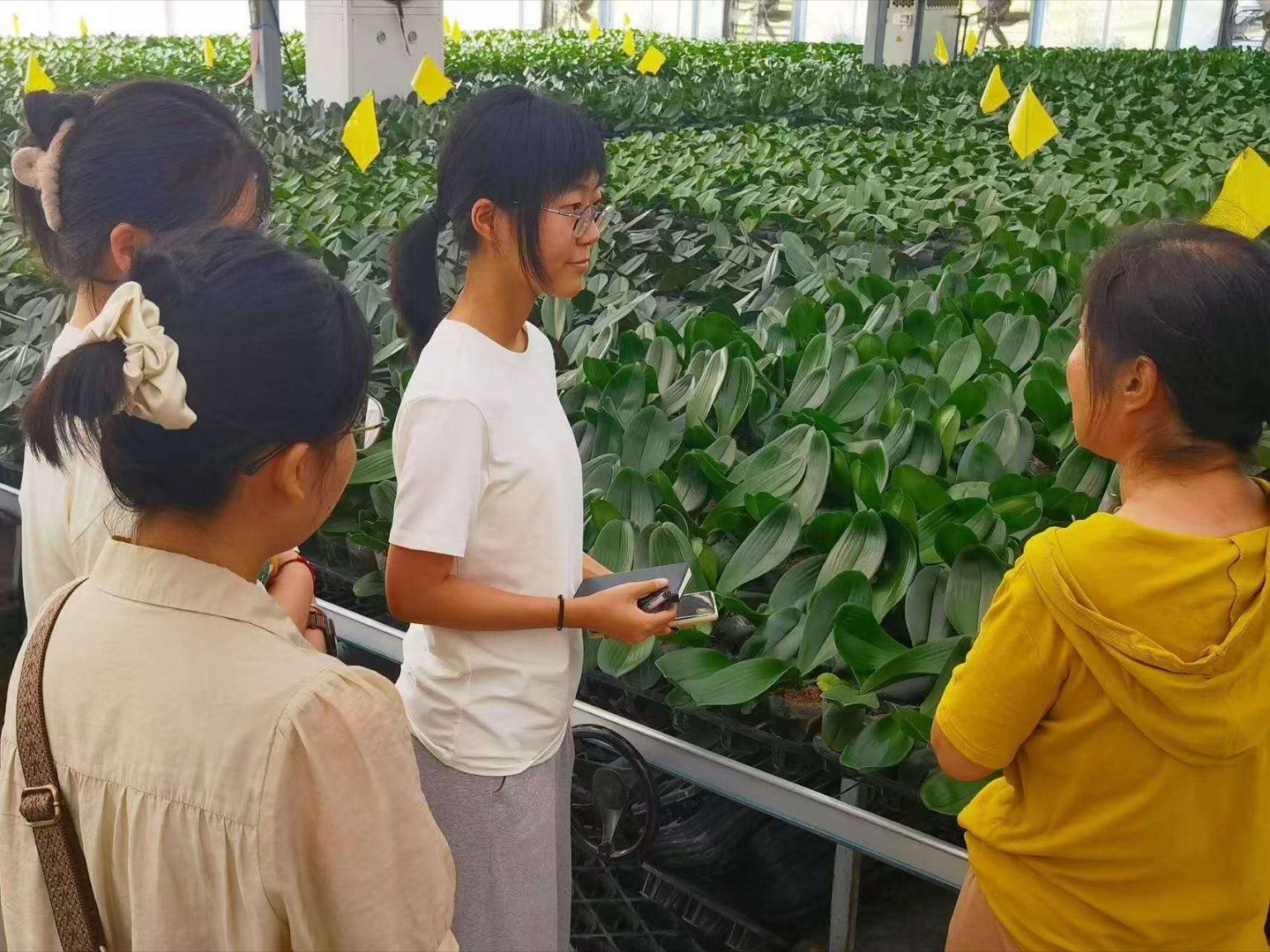 秦岭笑谈[超话]山东高校大学生暑假社会实践曲阜师范大学为深入了解乡村产业结构调整