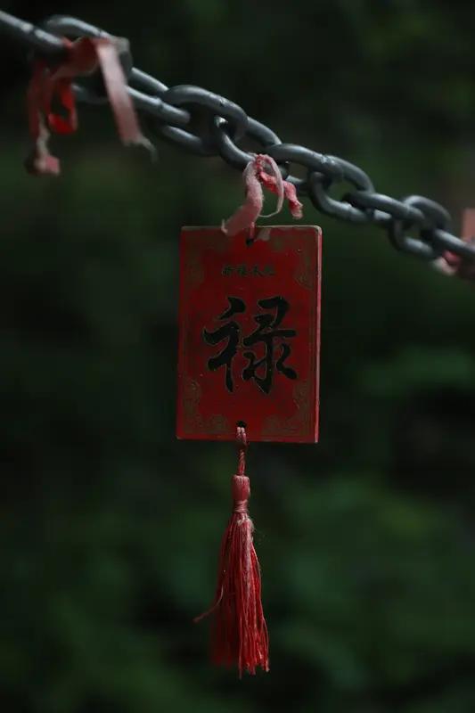 8月21日，每日幸运签改版啦！新版页面视觉更清爽，还能抽签测运赢9.9元惊喜奖励