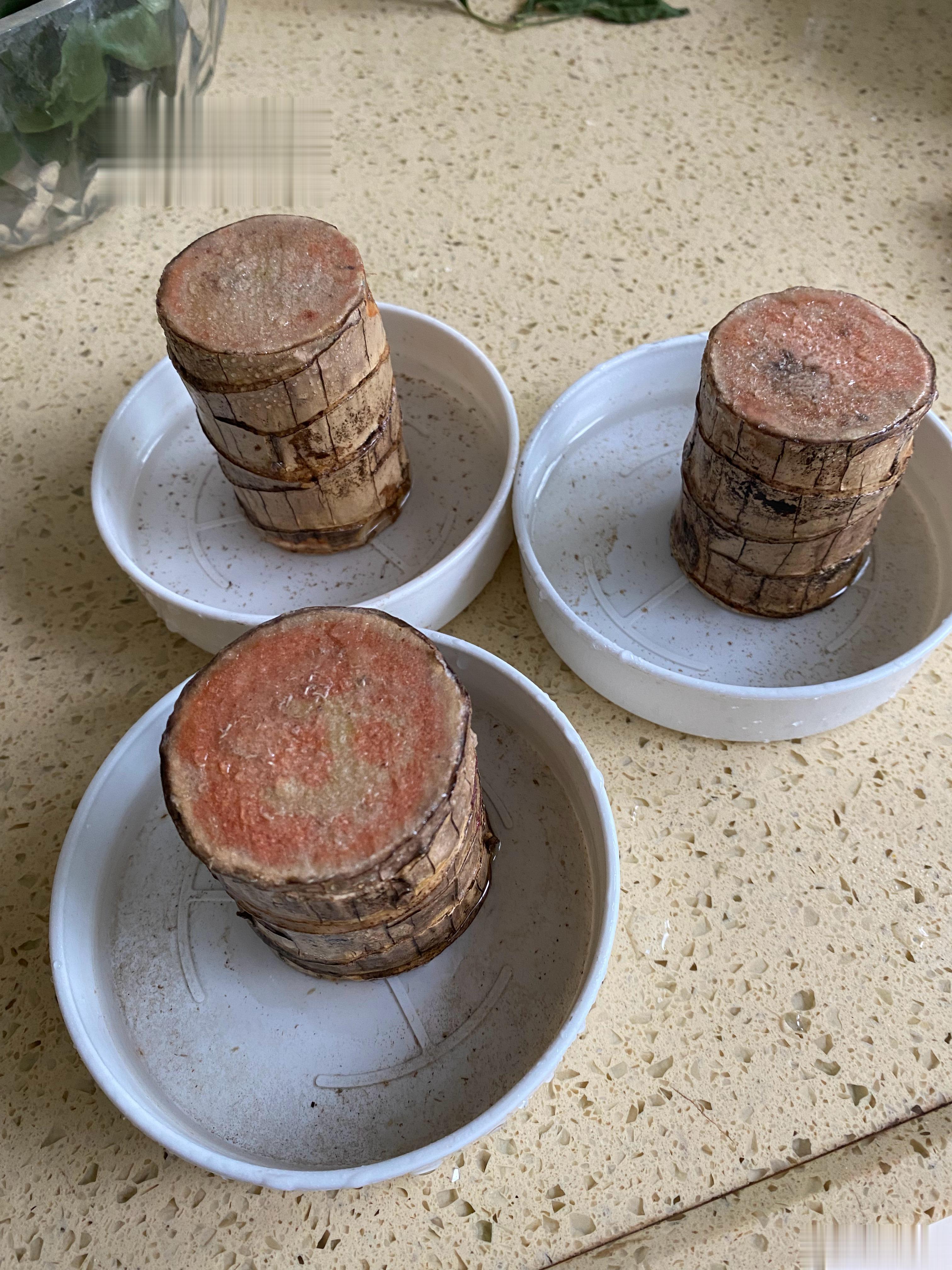 一生最重，不过饱餐与被爱；一生所求，不过温暖与良人；一生所爱，不过守护和相伴。#